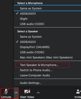 Zoom Test Speakers and Microphone