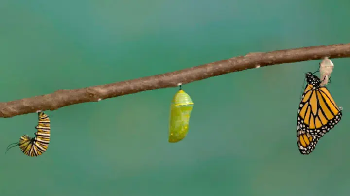 Lasting transformation