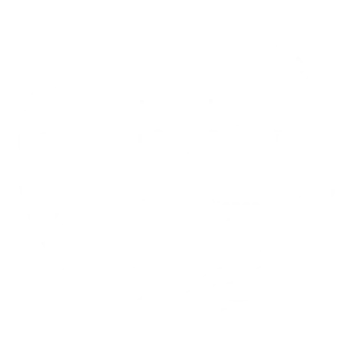 Outstanding External Provider Finalist