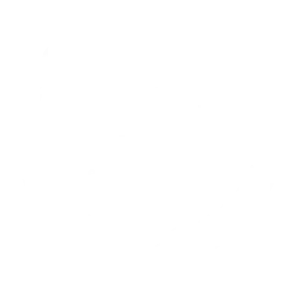 Outstanding External Provider Finalist