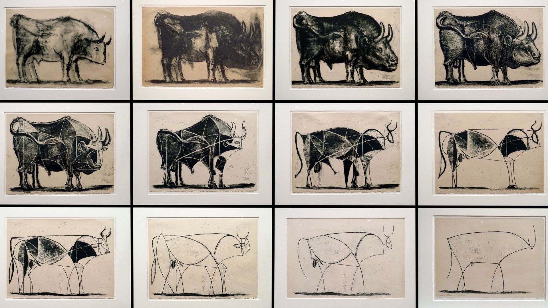 Picasso the Bull